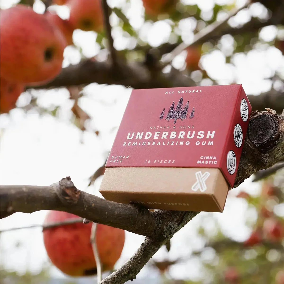 Remineralizing Gum - Variety Pack